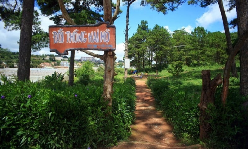 Đồi Thông Hai Mộ