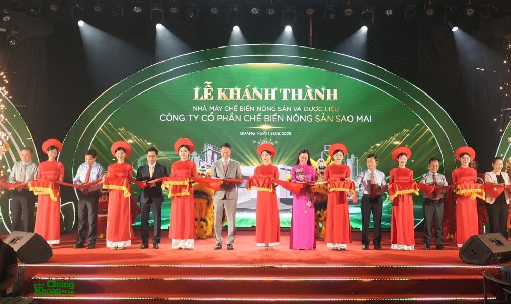 quang-ngai3(1).jpg