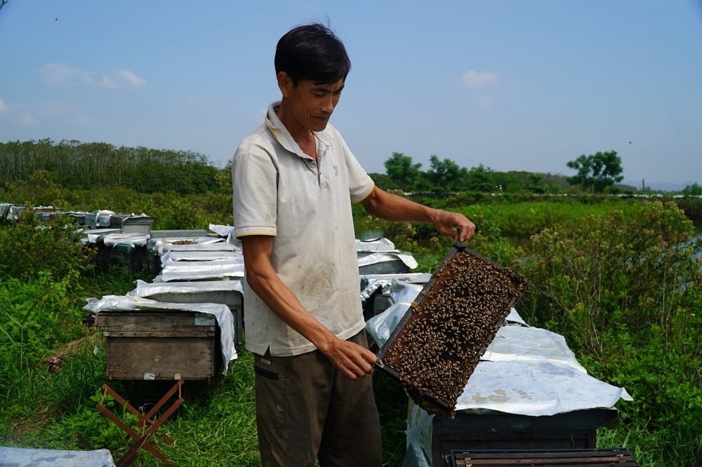 Anh Sửu bên cạnh tổ ong nhà nuôi