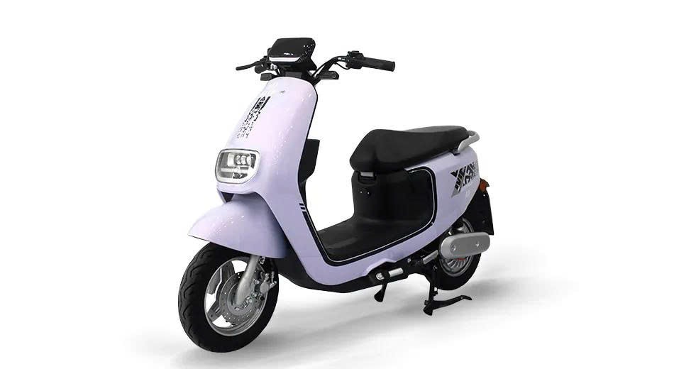 fdj.jpg