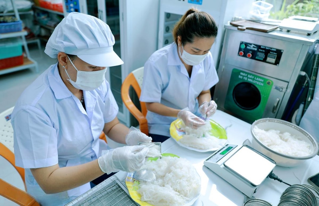Người dân đang sơ chế tổ yến (1)