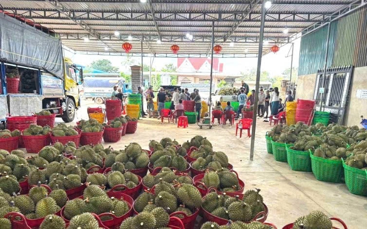Người dân làm việc liên tục vì đắt hàng