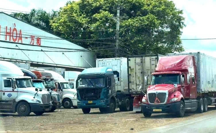 Xe tải chen chúc trên Quốc lộ 26