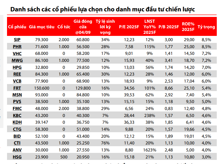danh sách các cổ phiếu lựa chọn cho danh mục đầu tư chiến lược