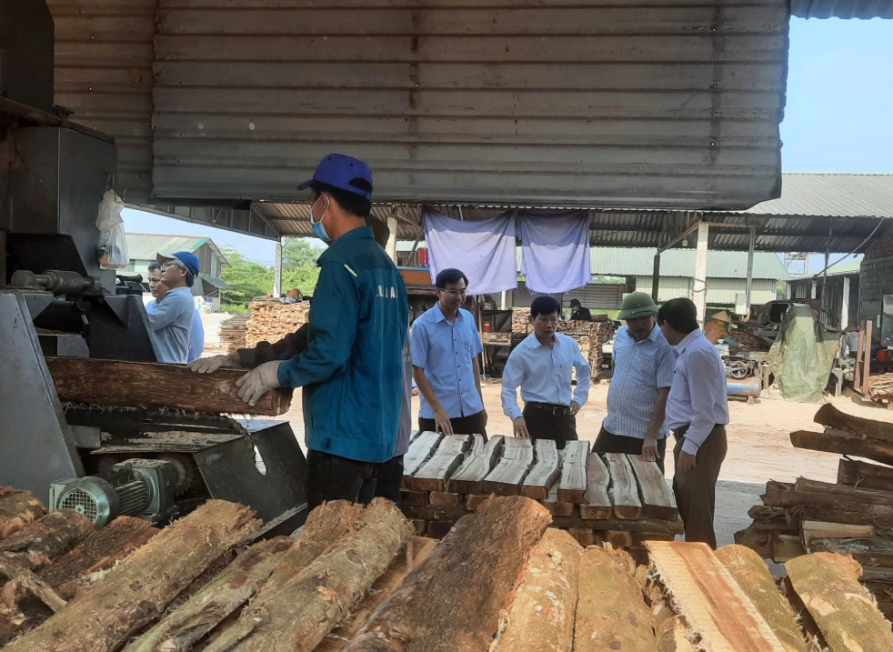 Người dân đang chế biến gỗ rừng
