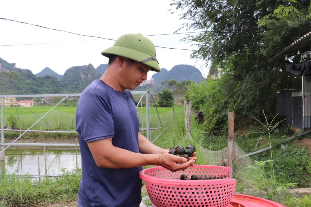Việc kiểm tra chất lượng ốc luôn rất quan trọng (1)