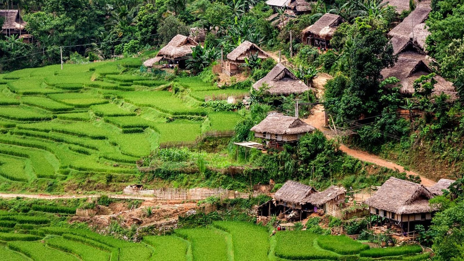 homestay bản đôn