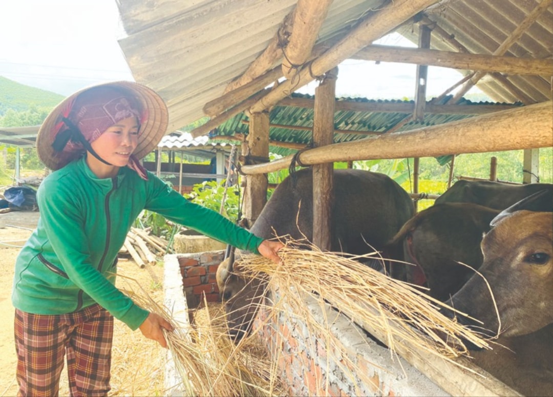 Nhờ chăn nuôi chuẩn mô hình, chị Ôn có được nguồn thu nhập tốt (1)