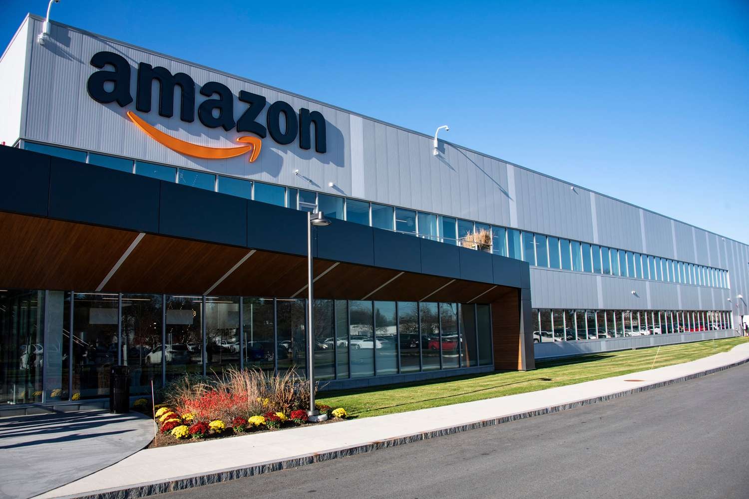 amazon.jpg