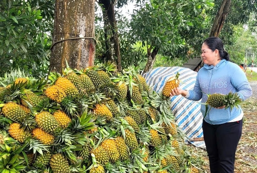 Bà Hiền đang lựa khóm