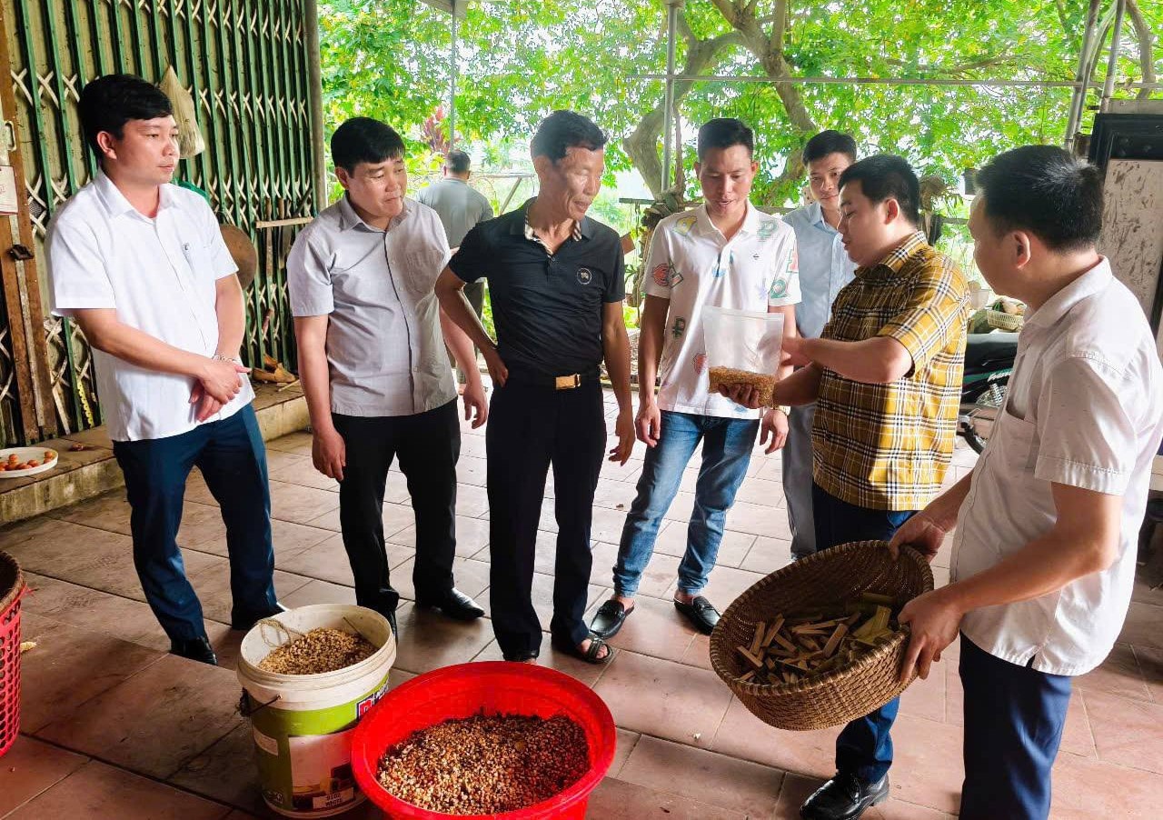 Anh Hoàng đang chia sẻ kinh nghiệm