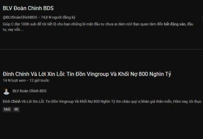 đính chính