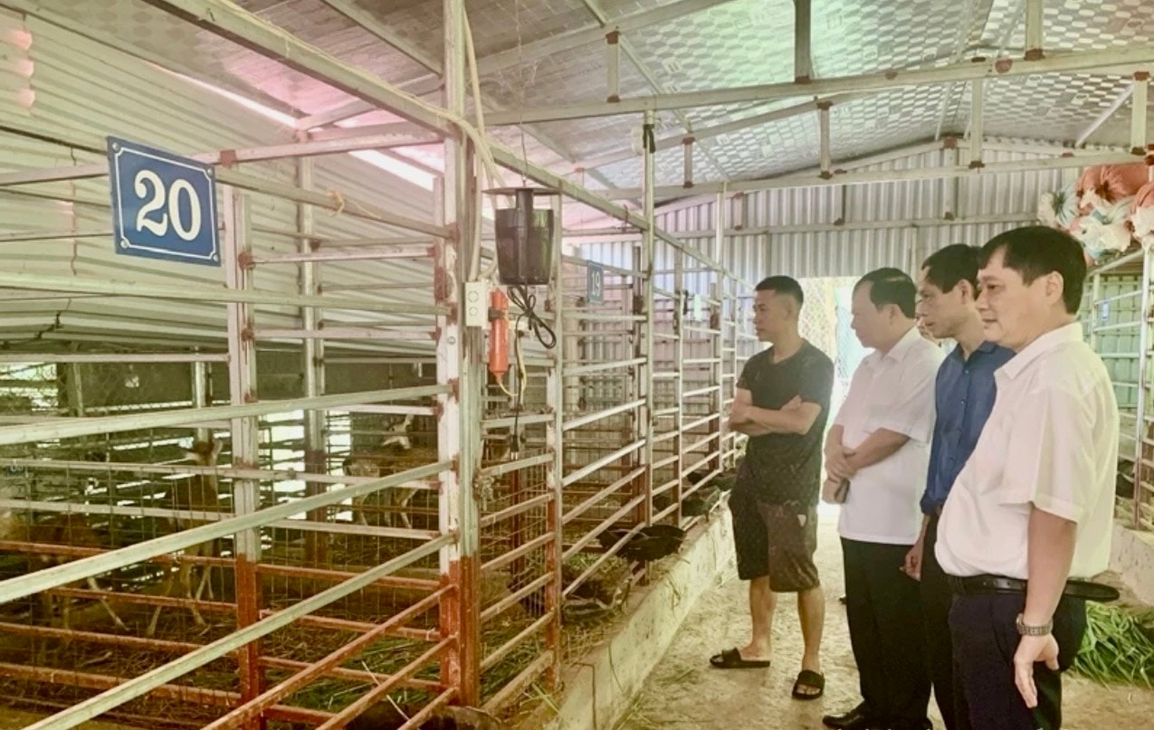 Mô hình nuôi hươu Thanh Hóa