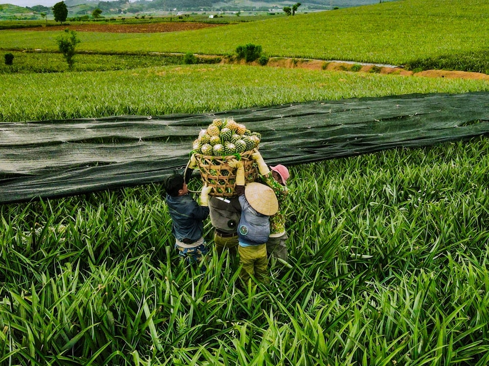 Nông dân Thanh Hóa