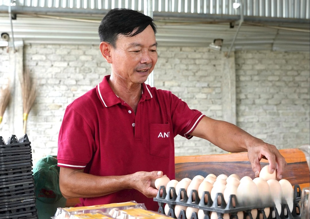 Sản phẩm trứng gà của trang trại đạt chứng nhận VietGAP năm 2024