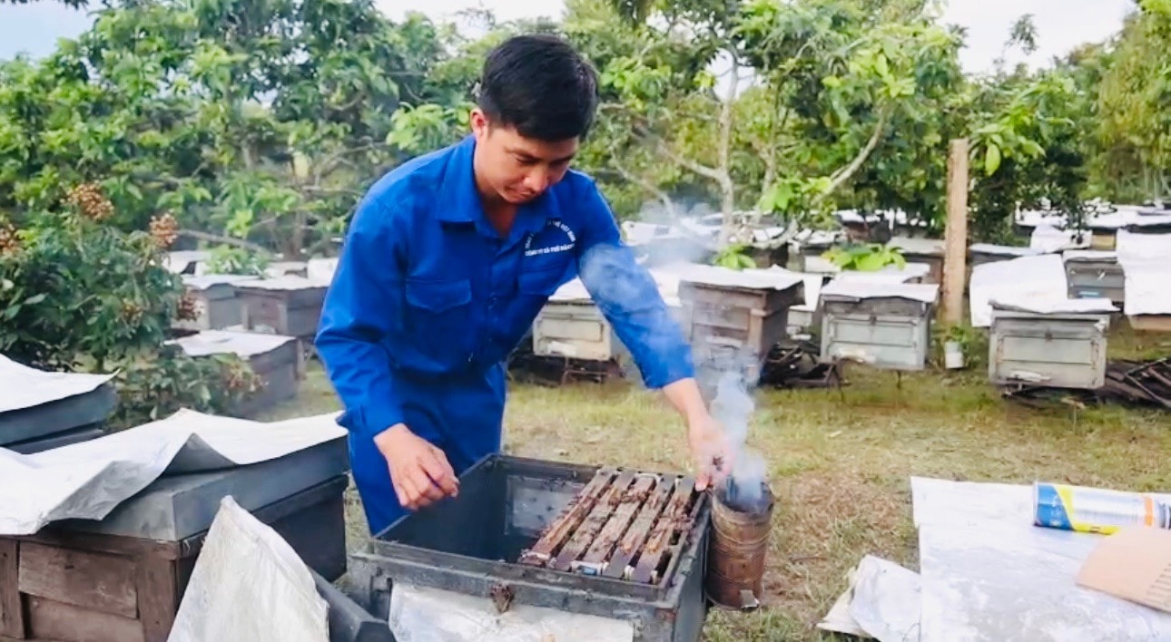 Anh Trường làm việc tại trang trại
