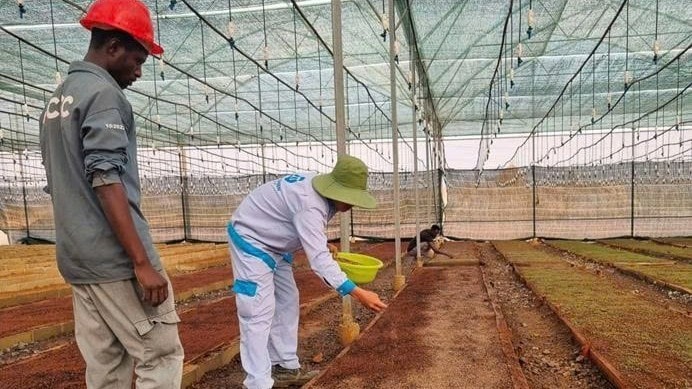 Tập đoàn Xuân Thiện - Angola