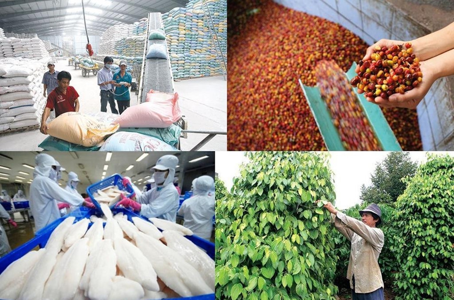 nông lâm thủy sản