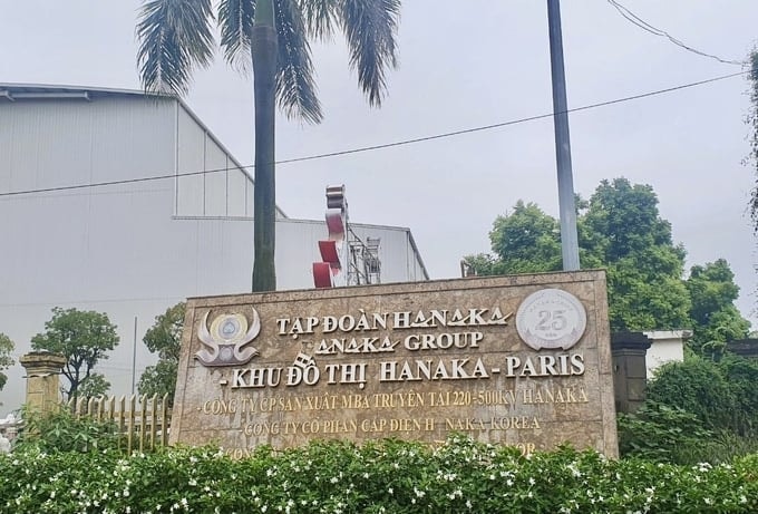 tập đoàn hanaka