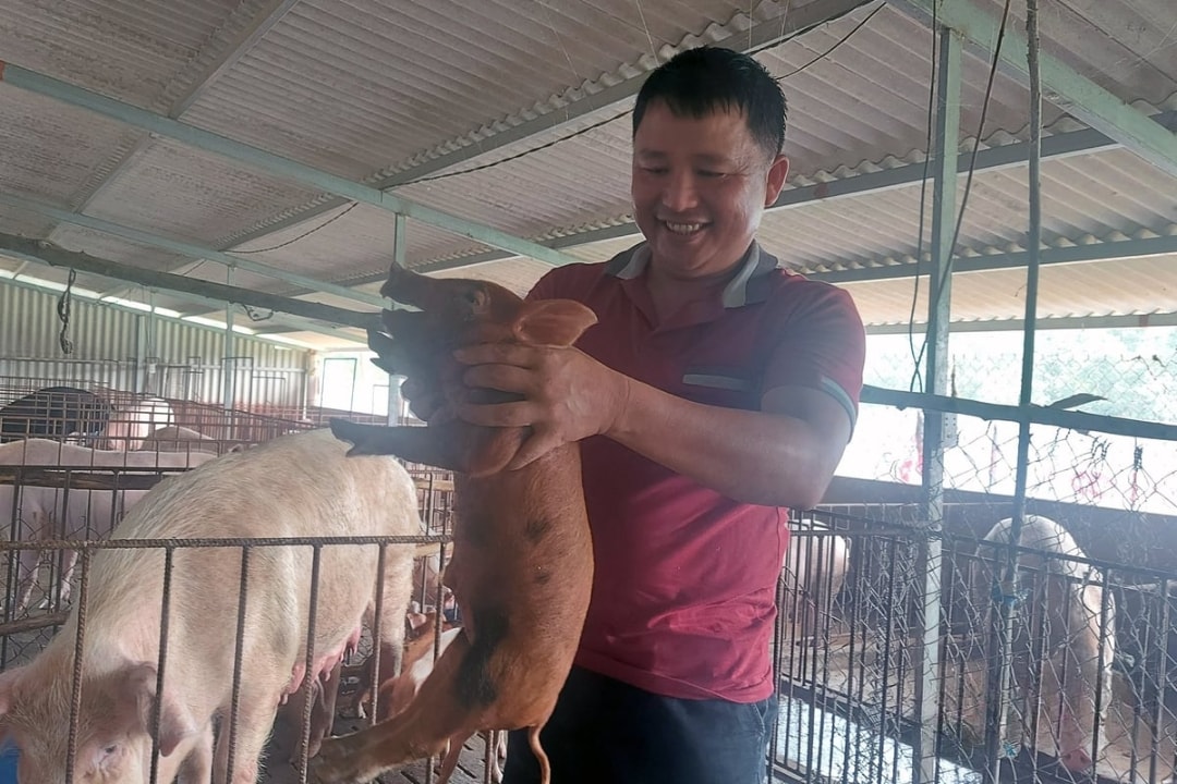 Trang trại nhà anh Vương (1)