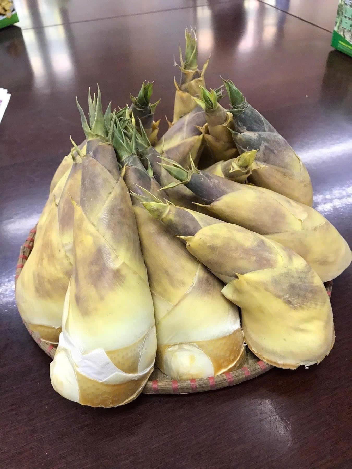 măng lục trúc