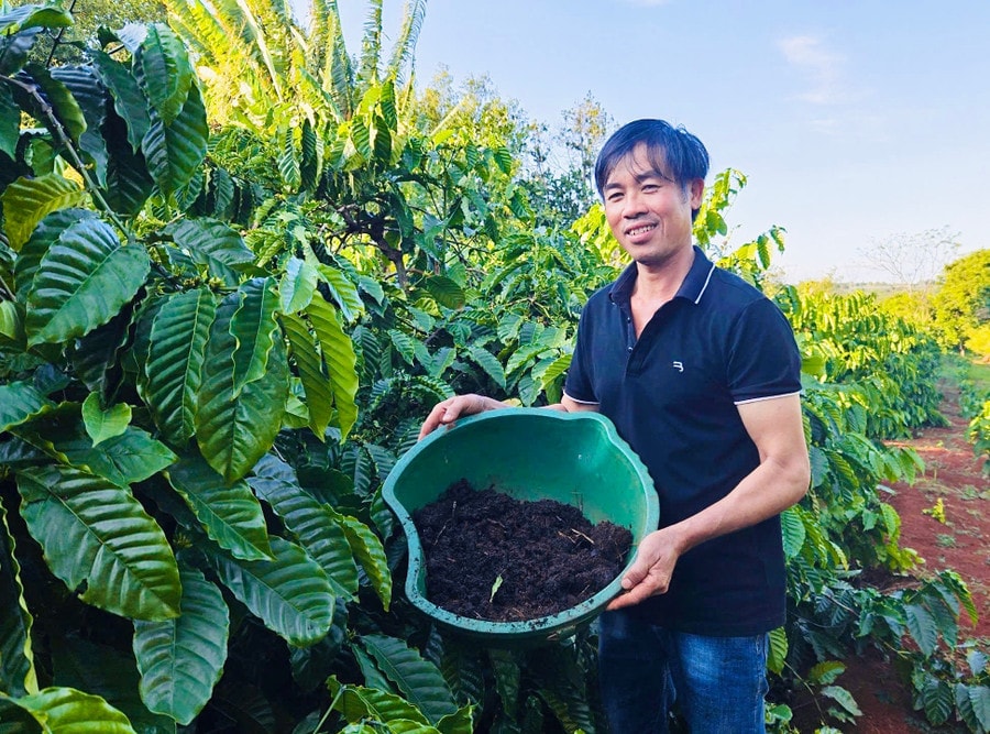 Anh Lê Viết Đen biến chất thải chăn nuôi, vỏ cà phê, rơm rạ... thành phân bón hữu cơ cho cây trồng