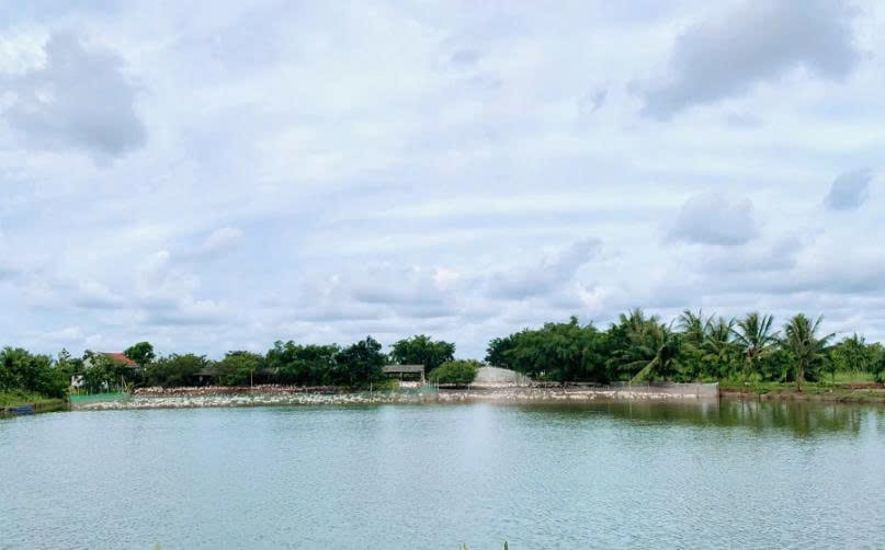 Trang trại nhà anh Trung