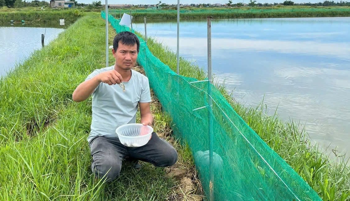 Anh Nam đánh giá mô hình này khá dễ nuôi