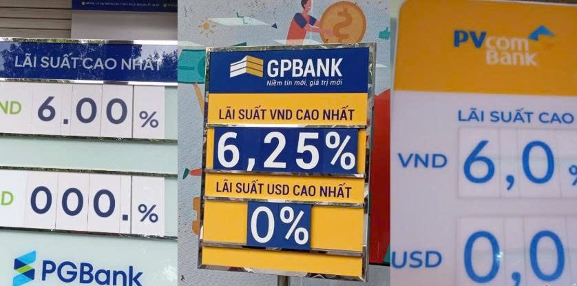 laisuat239.jpg