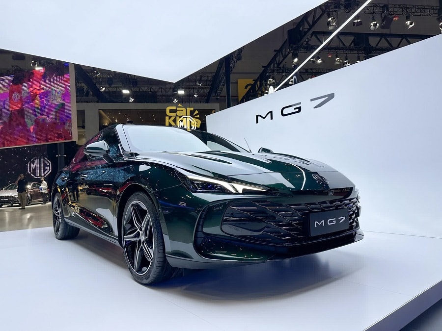 mg7.jpg