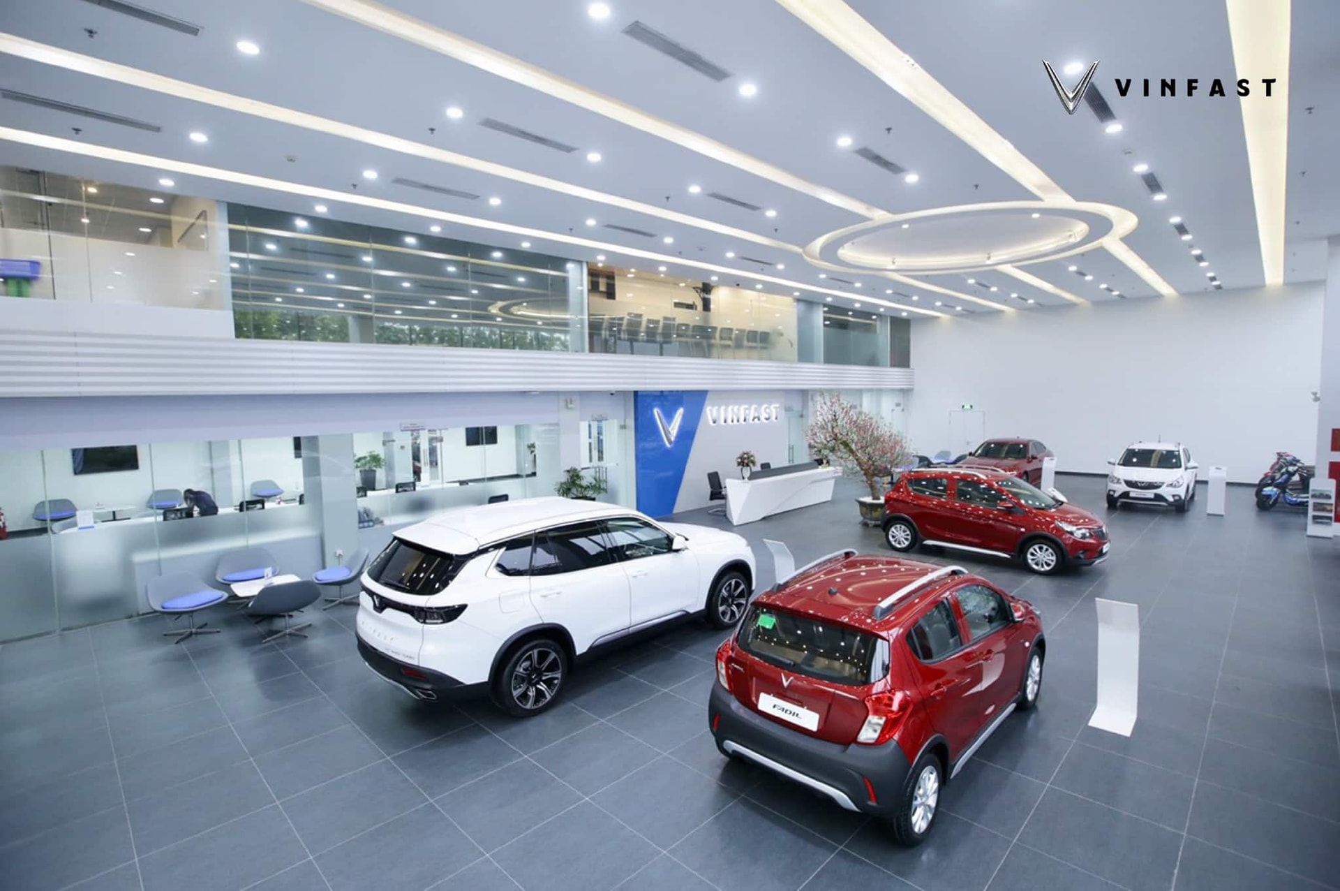 showroom vinfast