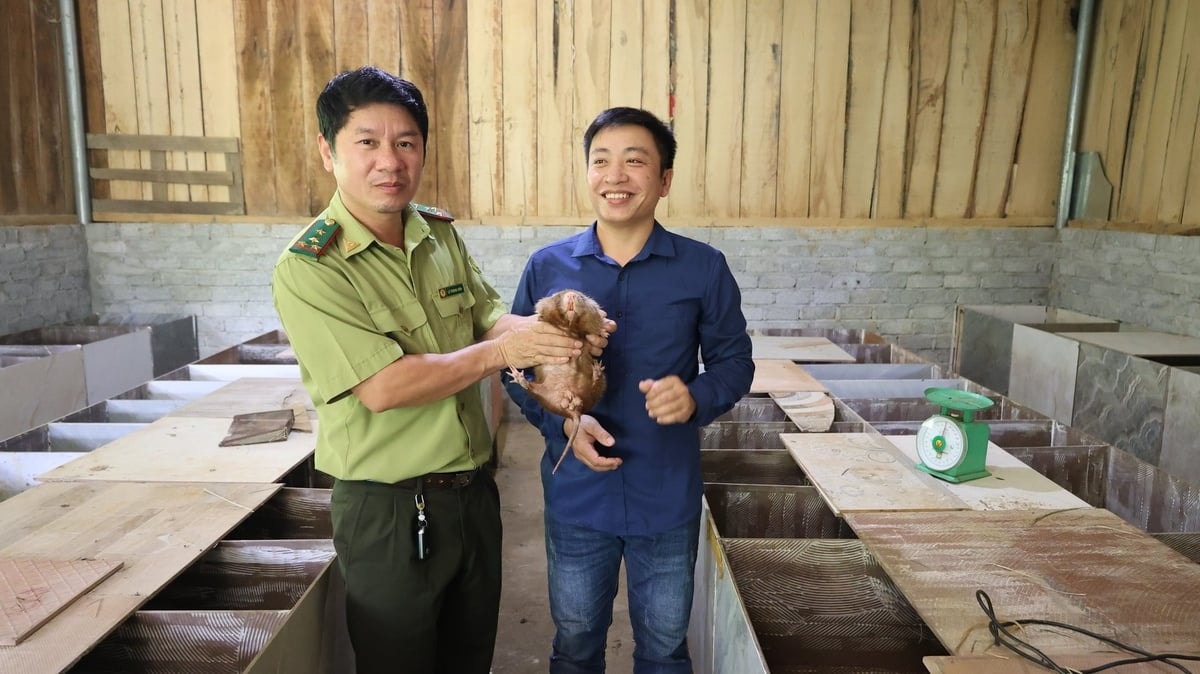 Anh Bằng (bên trái) đang giới thiệu về mô hình nuôi dúi