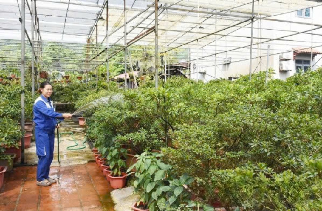 Chị Trần Thị Thanh Thùy (1)
