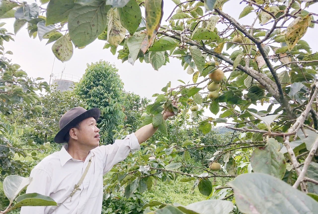 Người thầy giáo nông dân Hoàng Văn Quý