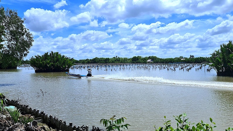 Một khu vực thuộc đầm Thị Tường ở Cà Mau.
