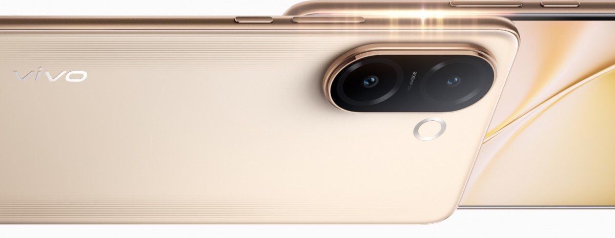 vivo.jpg