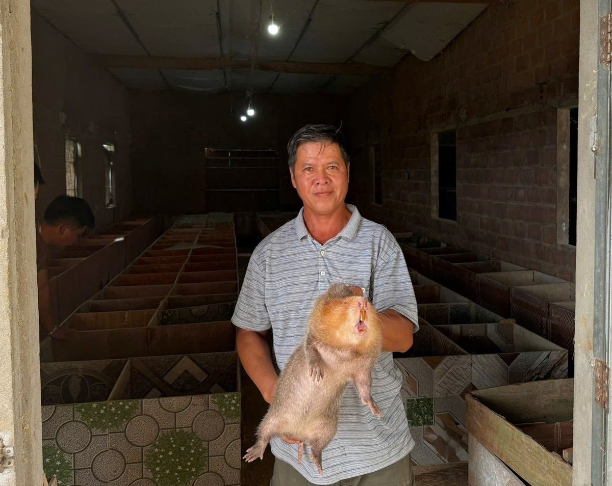 Ông Ánh đang bế dúi được nuôi trong nhà mình