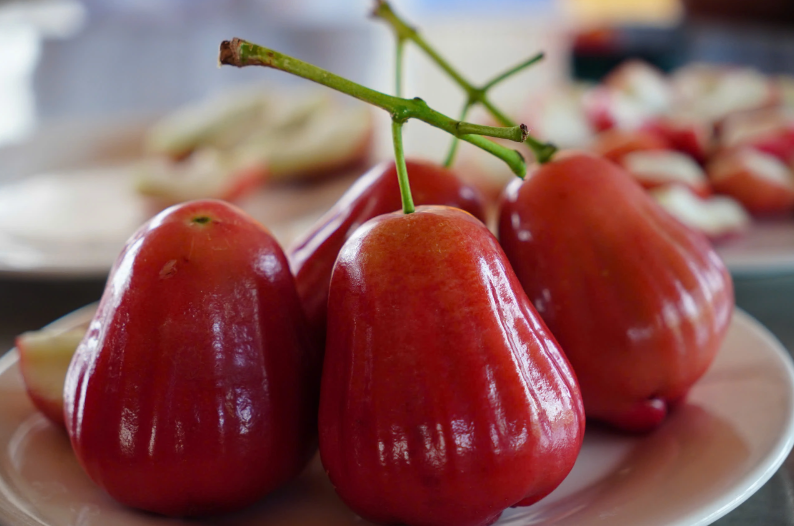 Mận hồng Sân Tiên