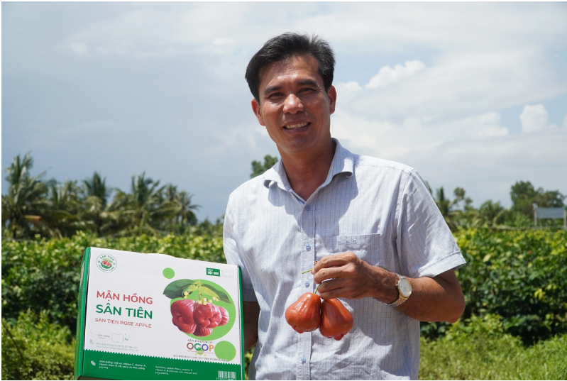 Ông Phục và sản phẩm mận chuẩn VietGAP nhà trồng