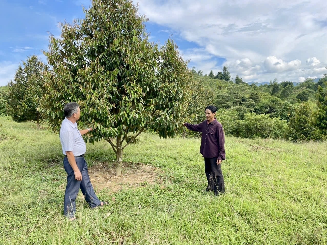 Ông Trần Cư (bên phải) đang chia sẻ về mô hình