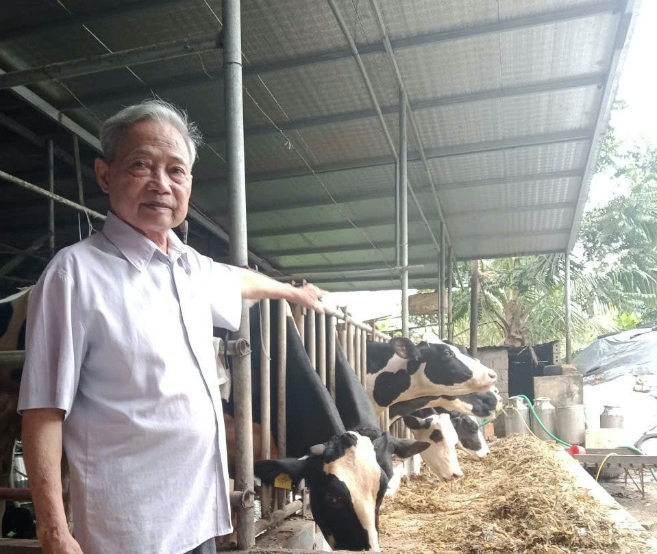 Nhờ mô hình này mà ông Sâm có thu nhập cao