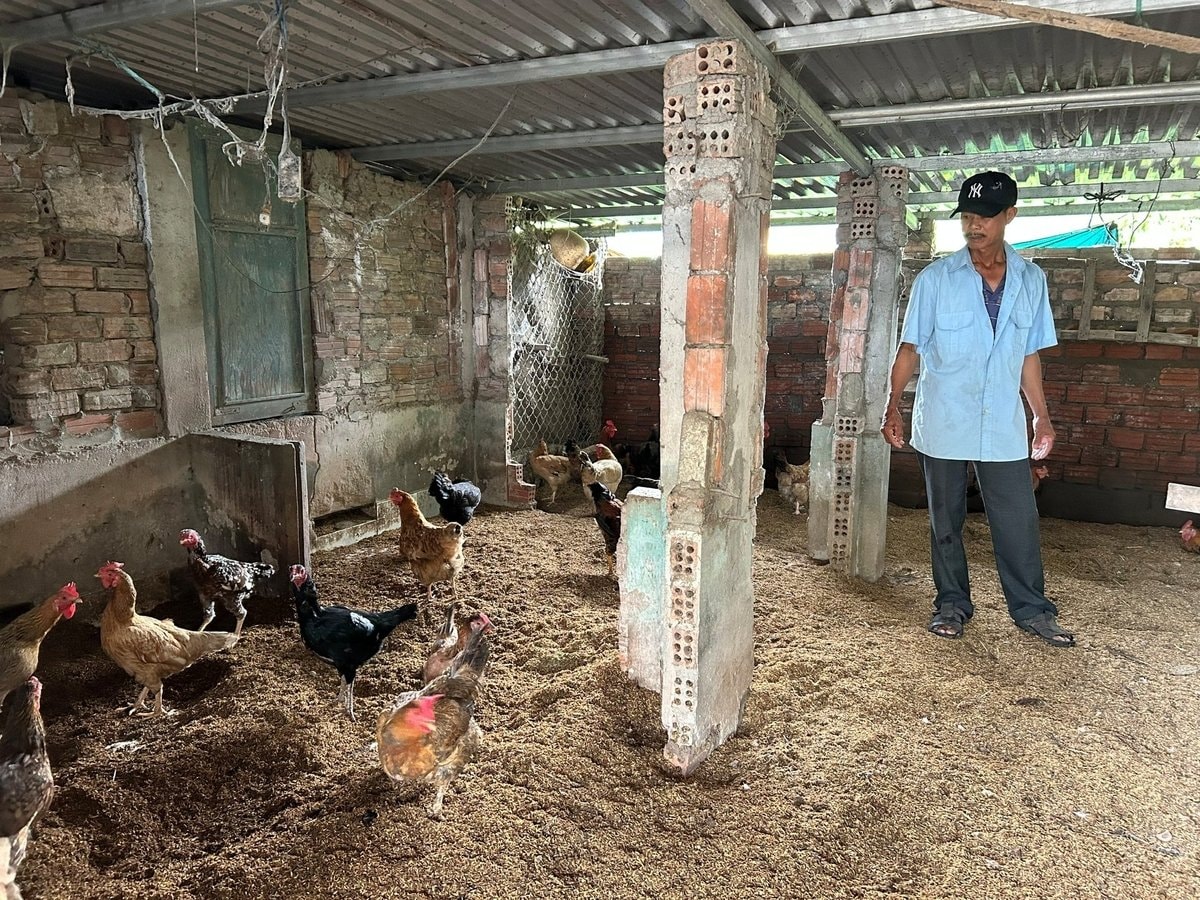 Ông Bích chia sẻ về mô hình mới của mình