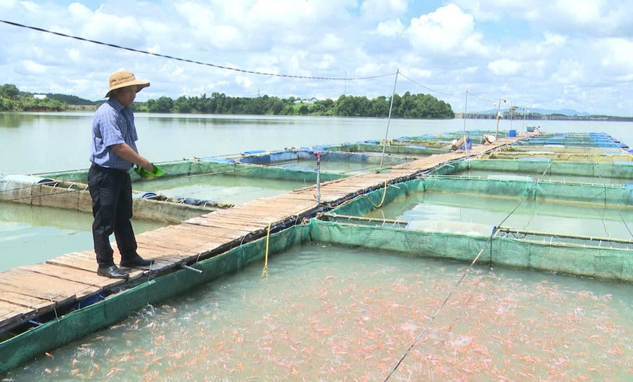 Anh Đàm Văn Sáng