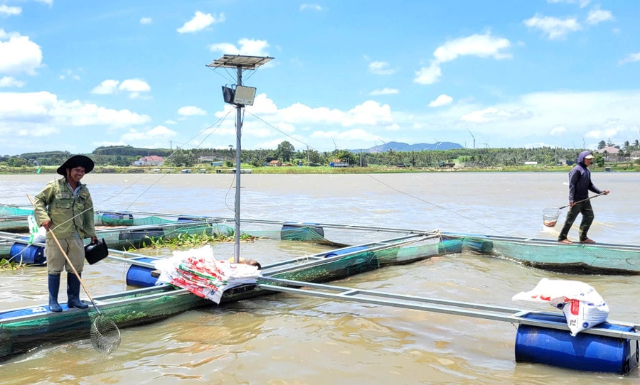 Ông Nguyễn Đình Quyền