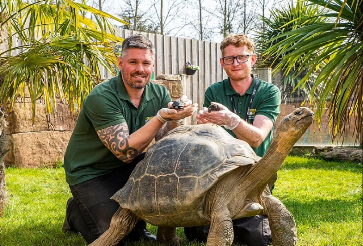 Rùa khổng lồ Galápagos