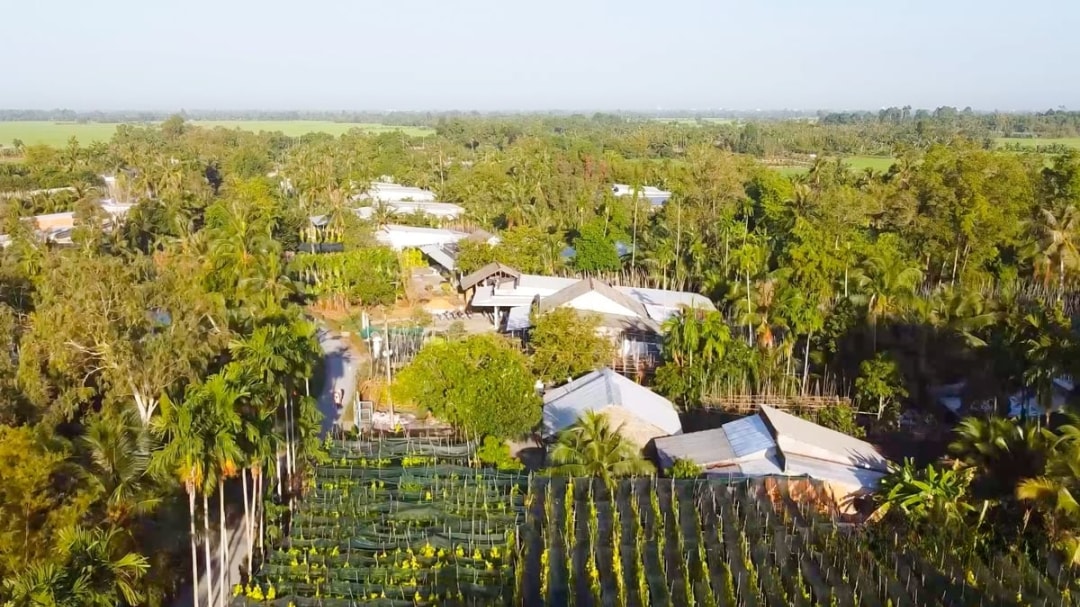 Làng trầu Vị Thủy