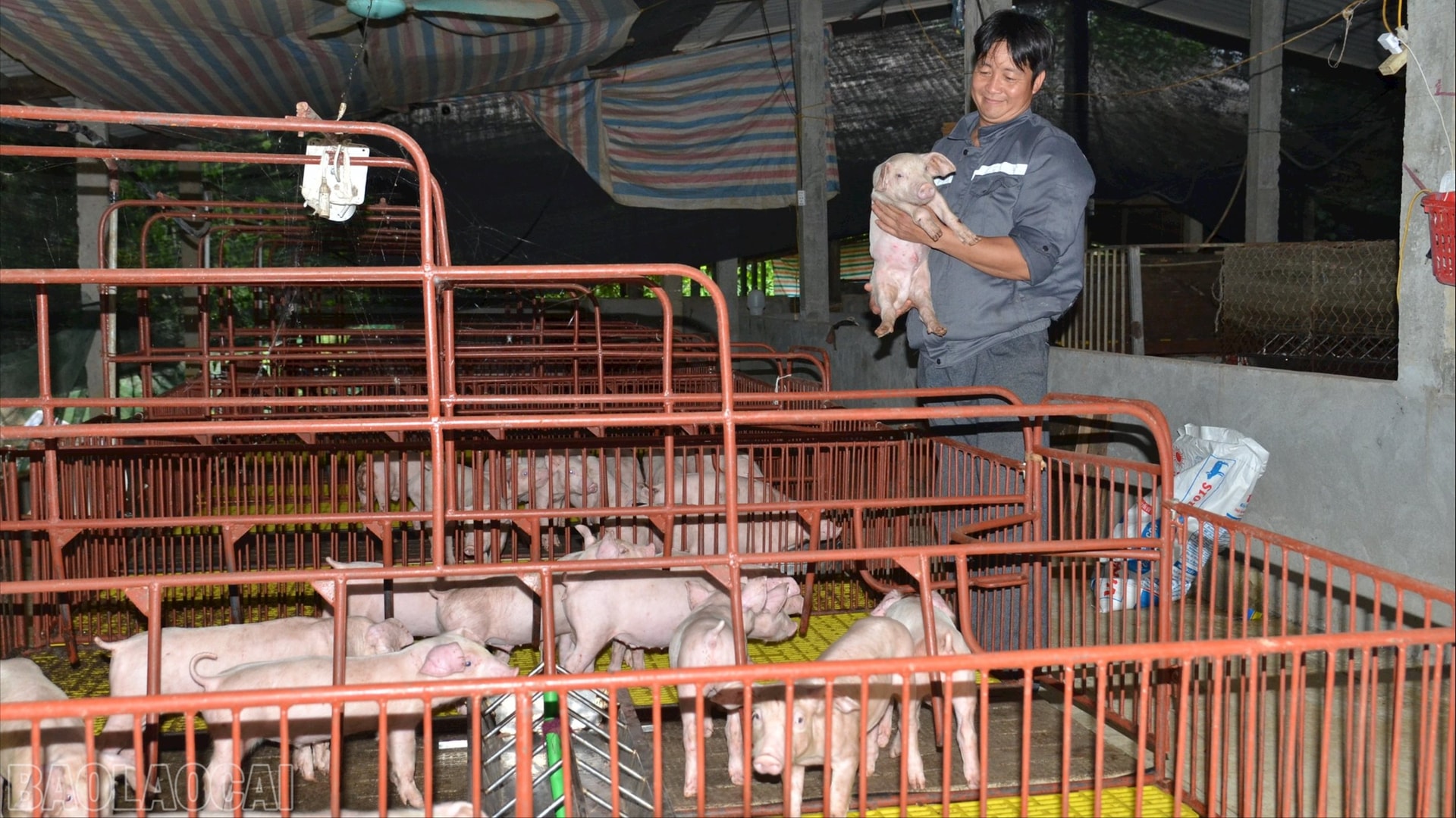 Anh Phạm Văn Thuận