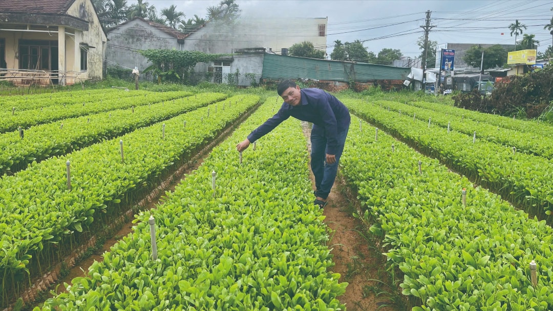 Anh Trần Văn Quang (1)