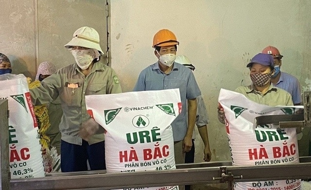 đạm hà bắc