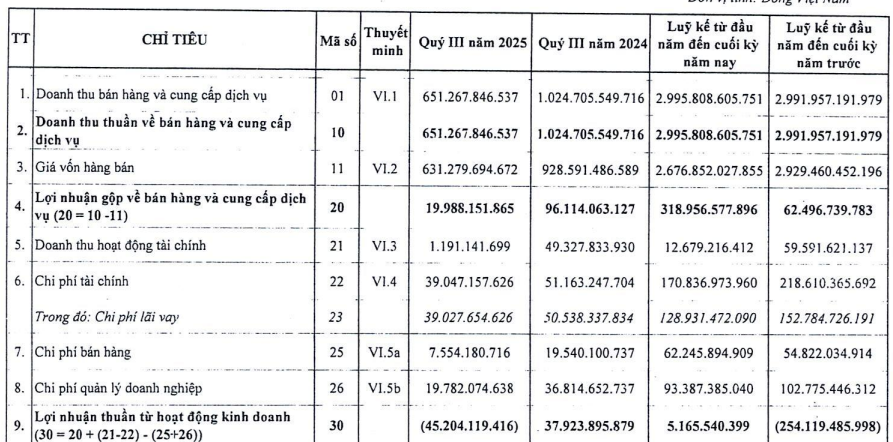 doanh thu đạm hà bắc